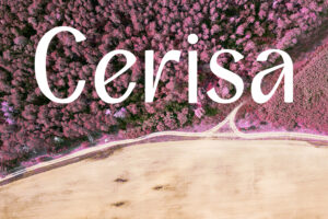 Cerisa